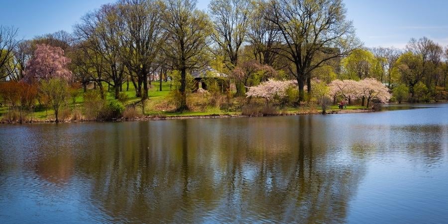 Essex County Cherry Blossom Festival